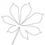 Kolorowanka jesienna – liść kasztanowca