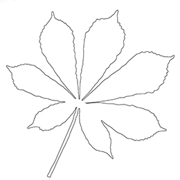 Kolorowanka jesienna - liść kasztanowca