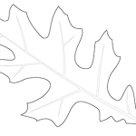 Kolorowanka jesienna – liść dębu błotnego